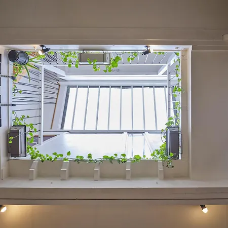 Atelier D'artiste En Plein Parijs